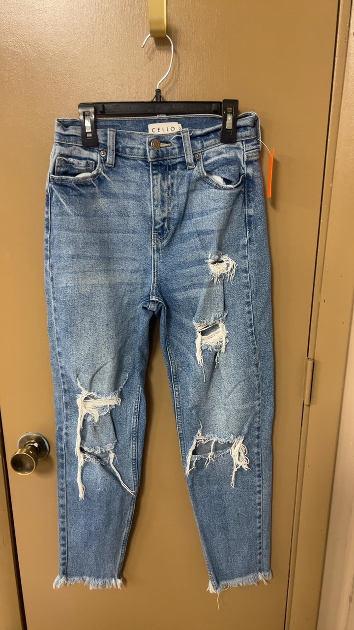 Cello Pants 3 Blue