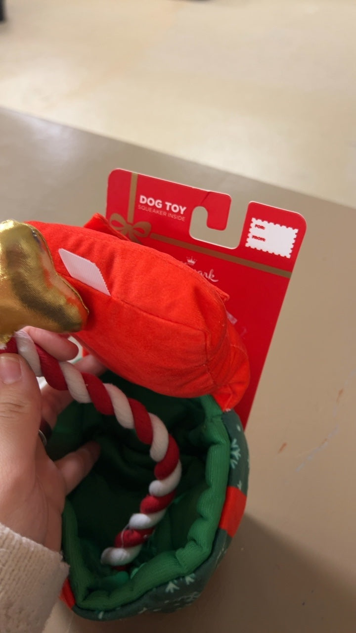 Hallmark Dog Toy Red