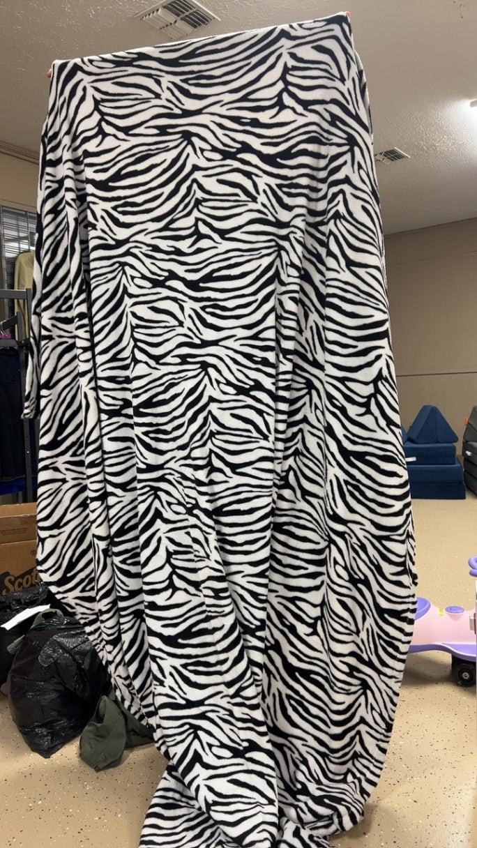Blanket Zebra