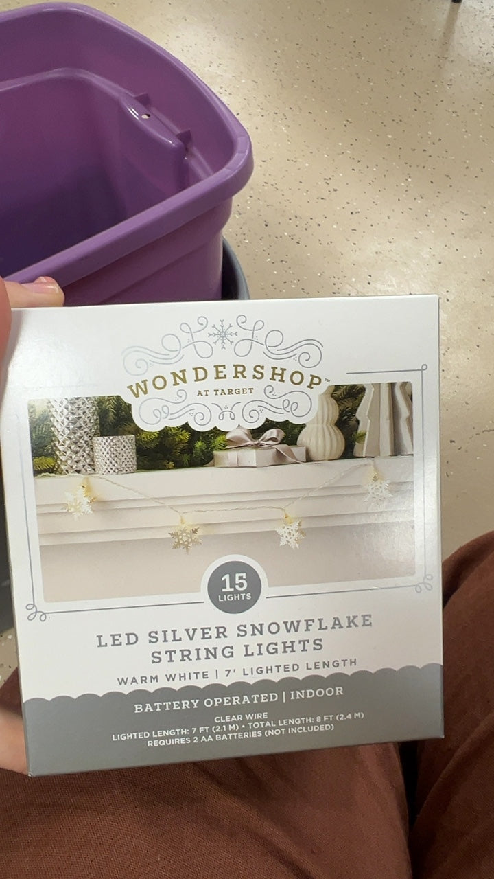 Wondershop Decorative Lights
