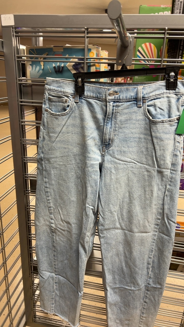 American Eagle Pants 12 long