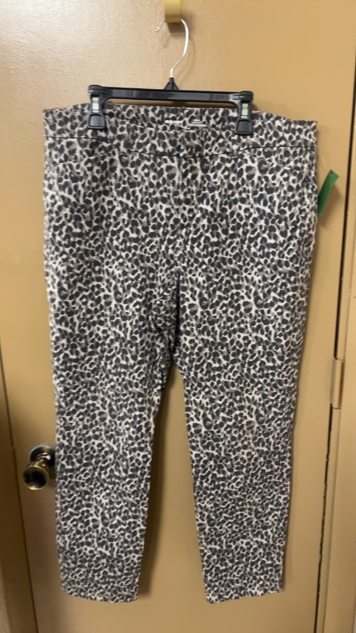 Old Navy Pixie Pants 12