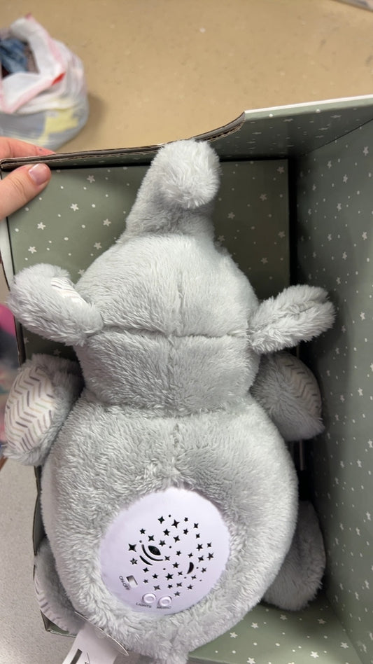 dream girl Teddy Bear