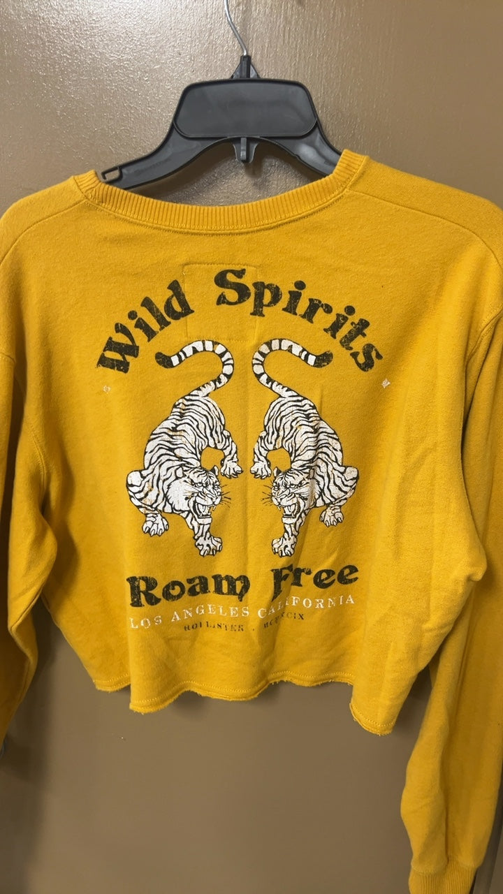 Hollister tiger Sweater Small