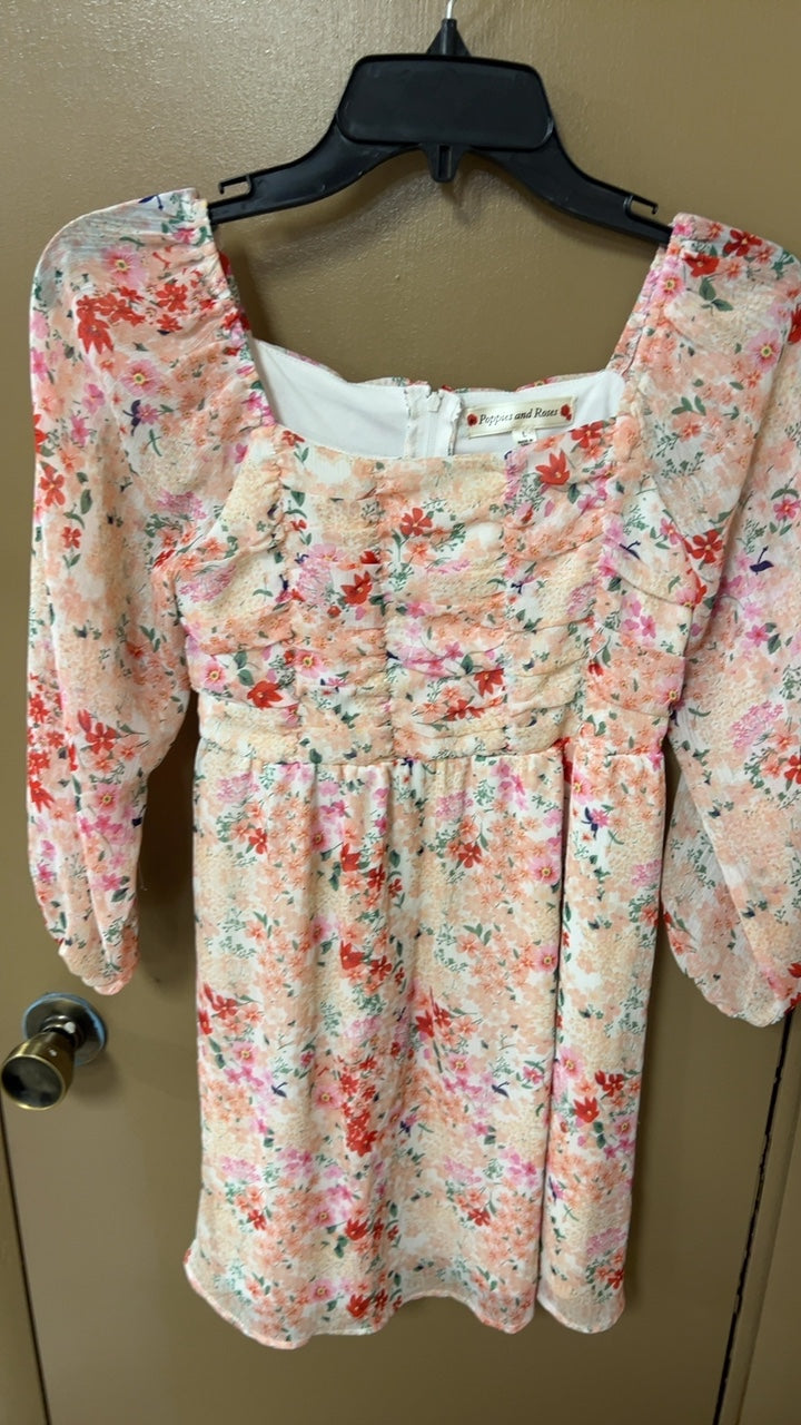 Poppies and Roses Dress YOUTH Large