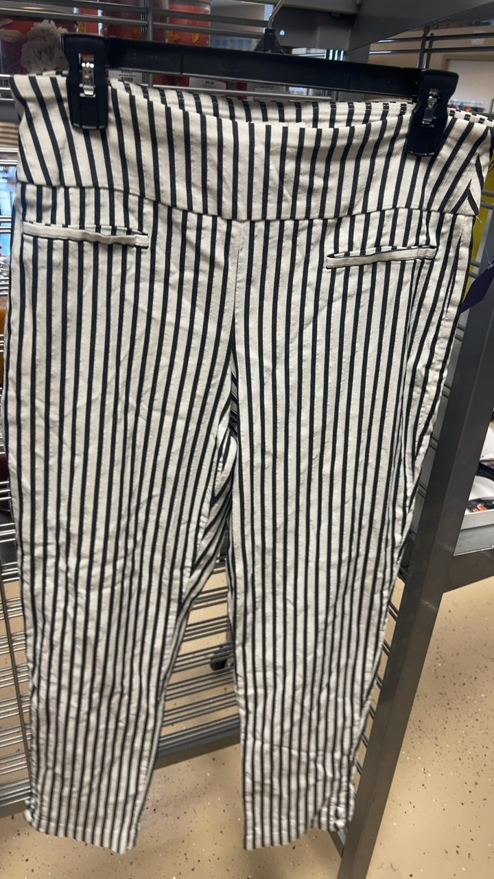 Cato Pants 12