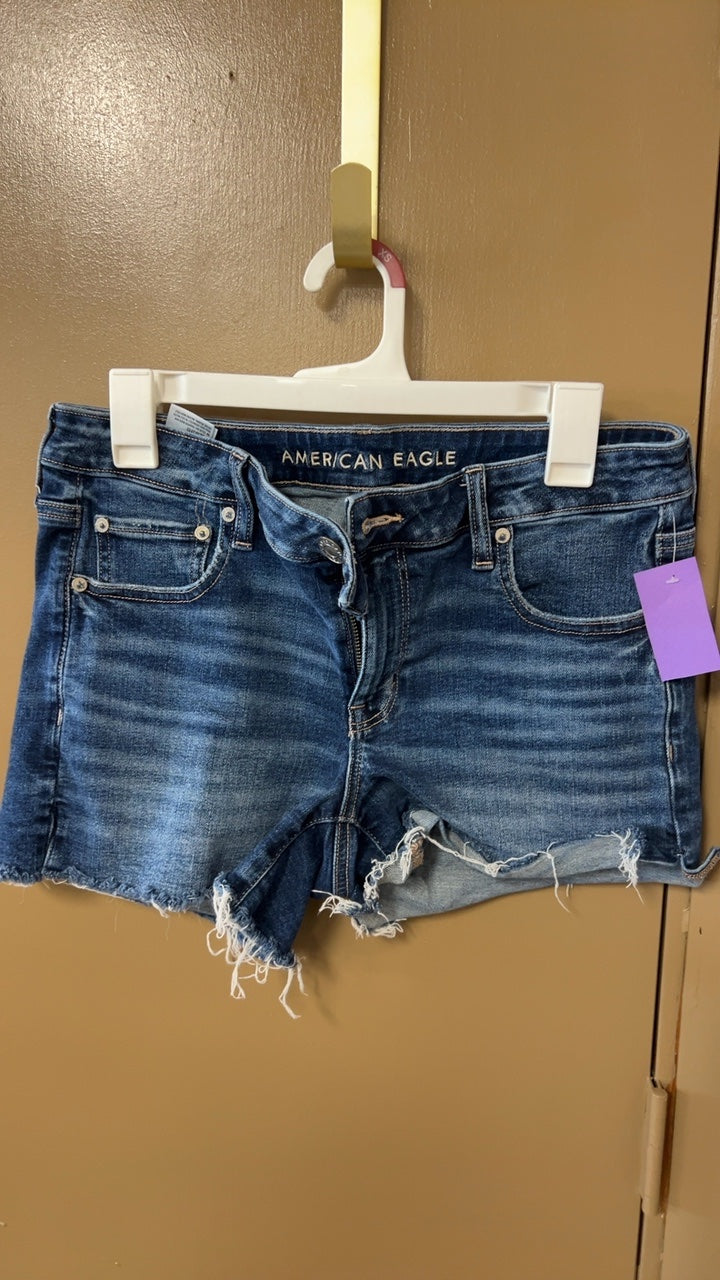 American Eagle Shorts 10
