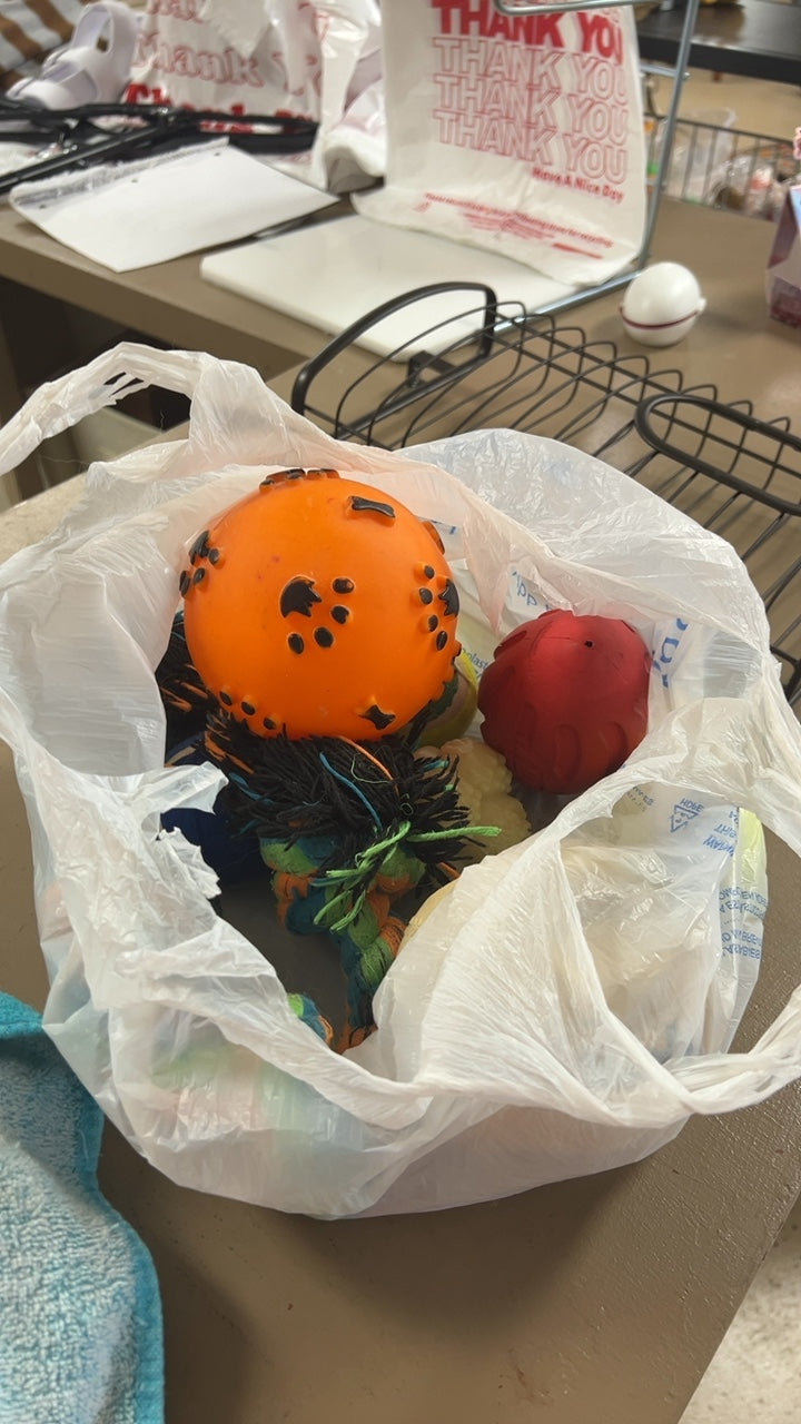 Dog Toy Bundle