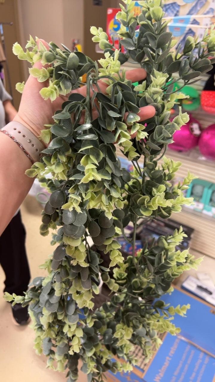 Fake Plant