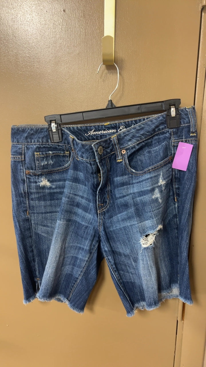 American Eagle Shorts 10