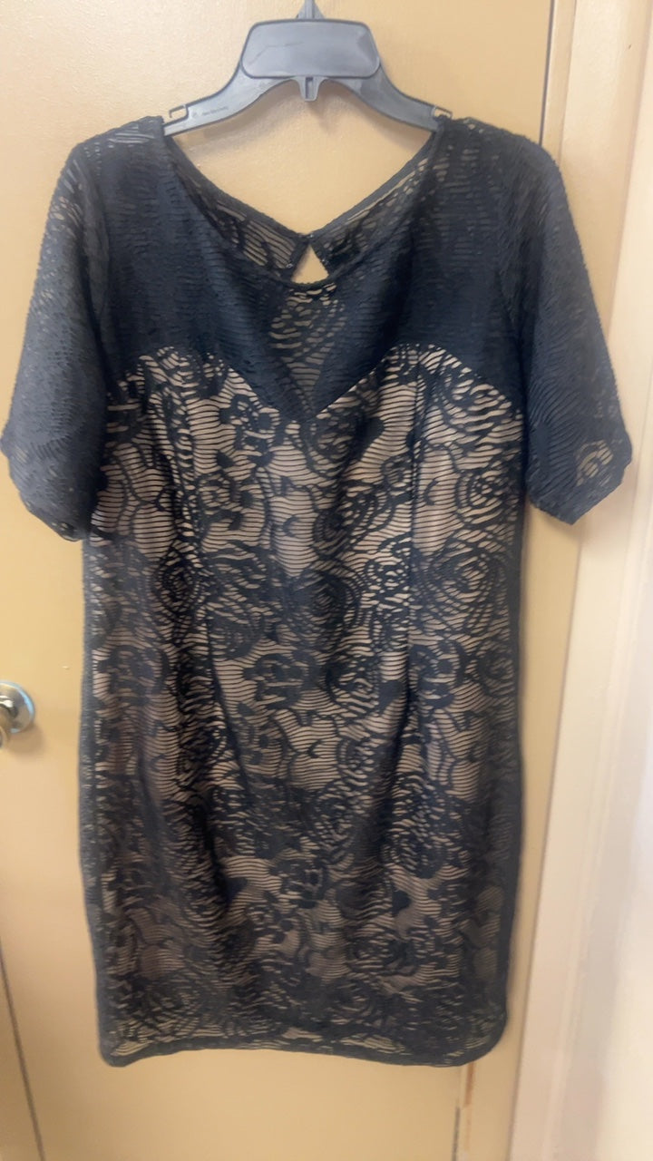 Adrianne Papell Dress 20