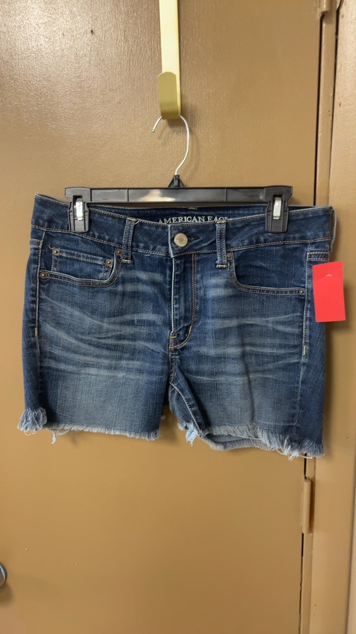 American Eagle Shorts 12