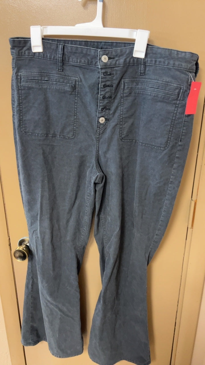 American Eagle Pants 18