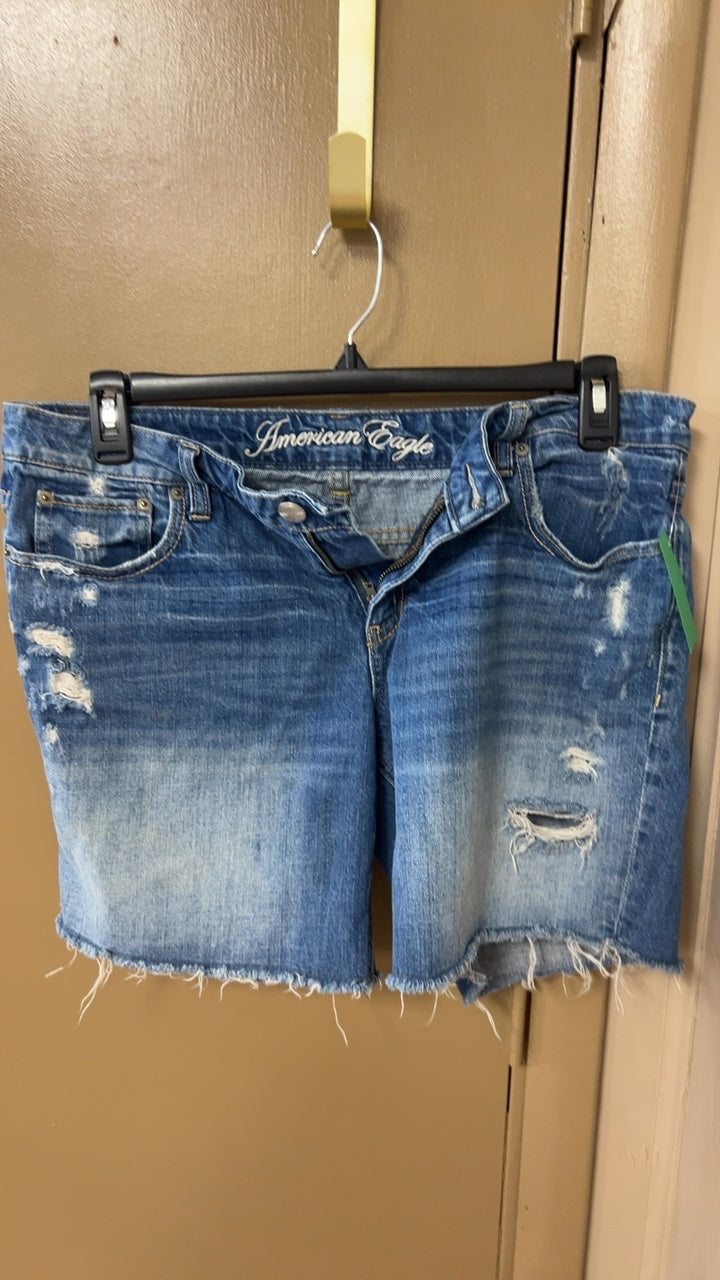 American Eagle Shorts 12 Blue