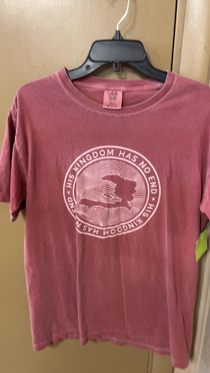 Gildan T-Shirt Medium Pink