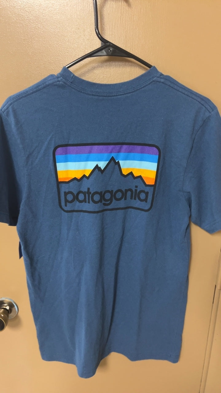 Patagonia T-Shirt MENS SMALL Blue
