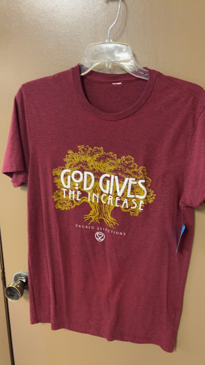 Sacred Selections T-Shirt Small Burgundy