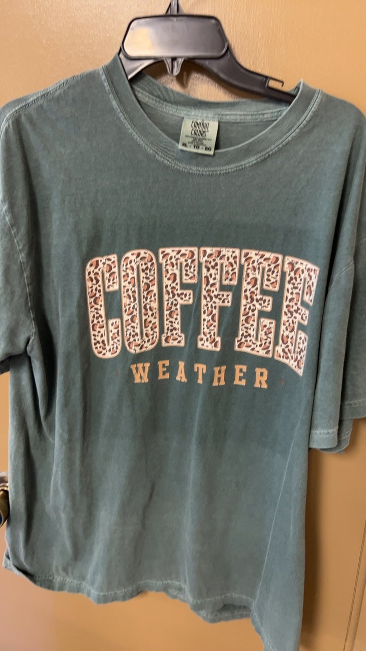 Comfort Colors T-Shirt XL Greenish-gray