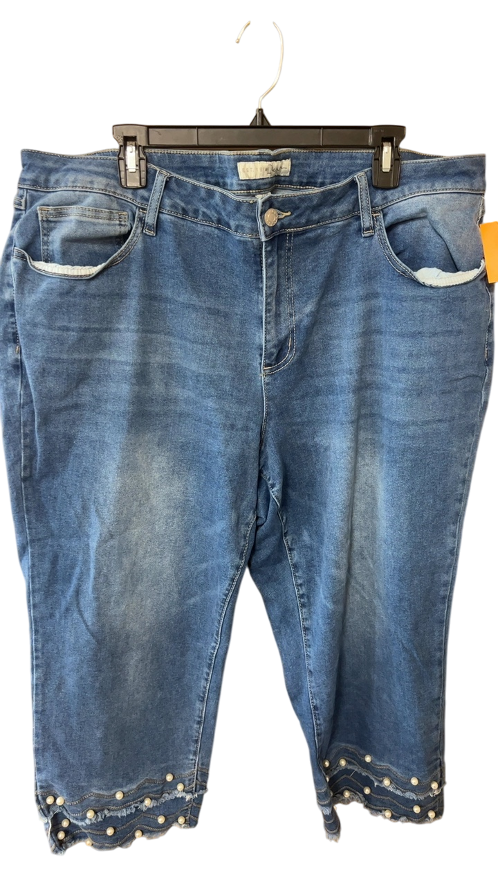 Capri Pants 22 Blue