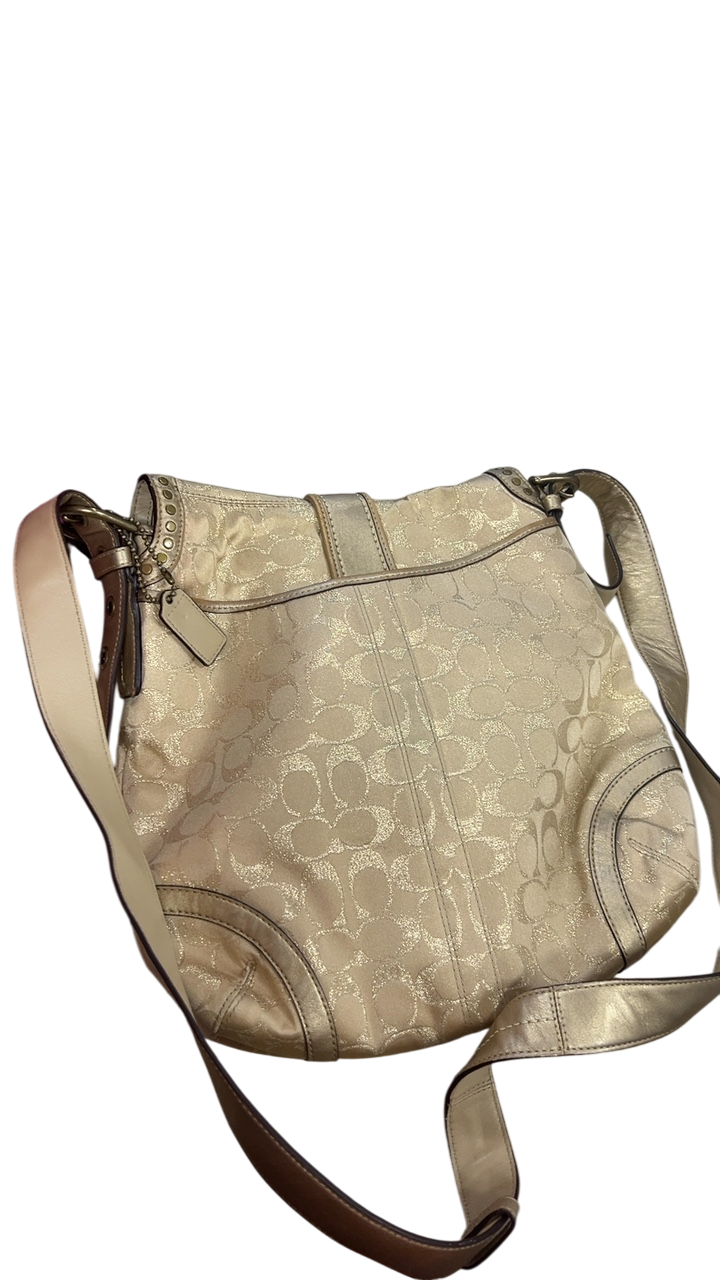 Coach Bag Beige