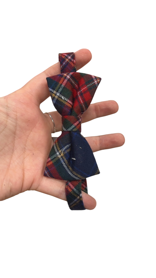 Accessory YOUTH Multicolor