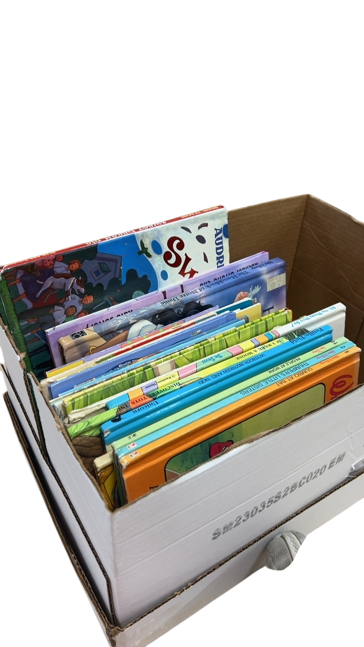 Various Kids Books 33 bundle Multicolor