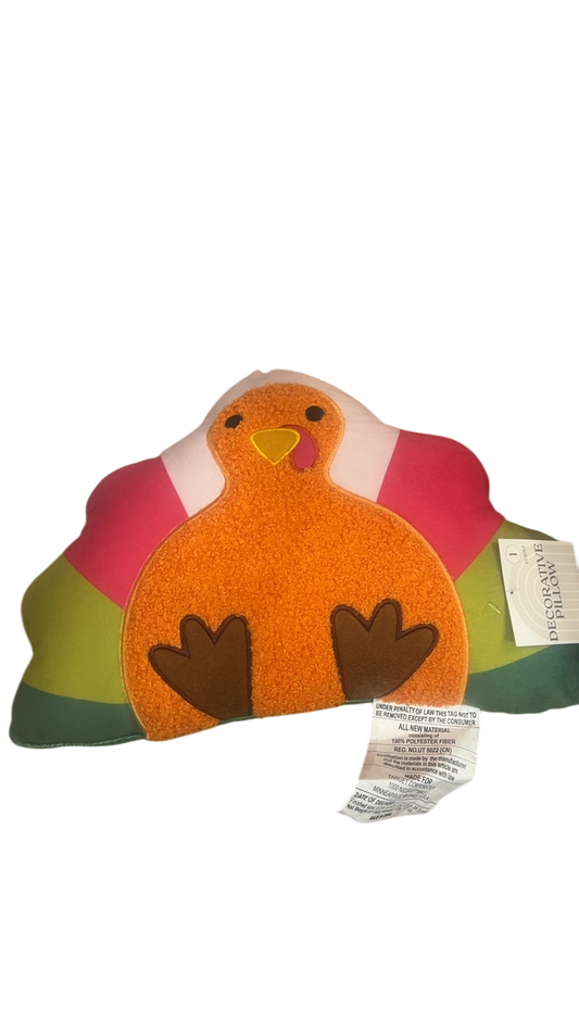 Decorative Pillow Multicolor