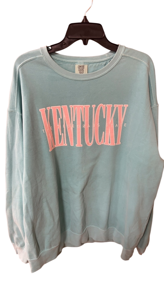 Comfort Colors Sweatshirt 2XL Light blue