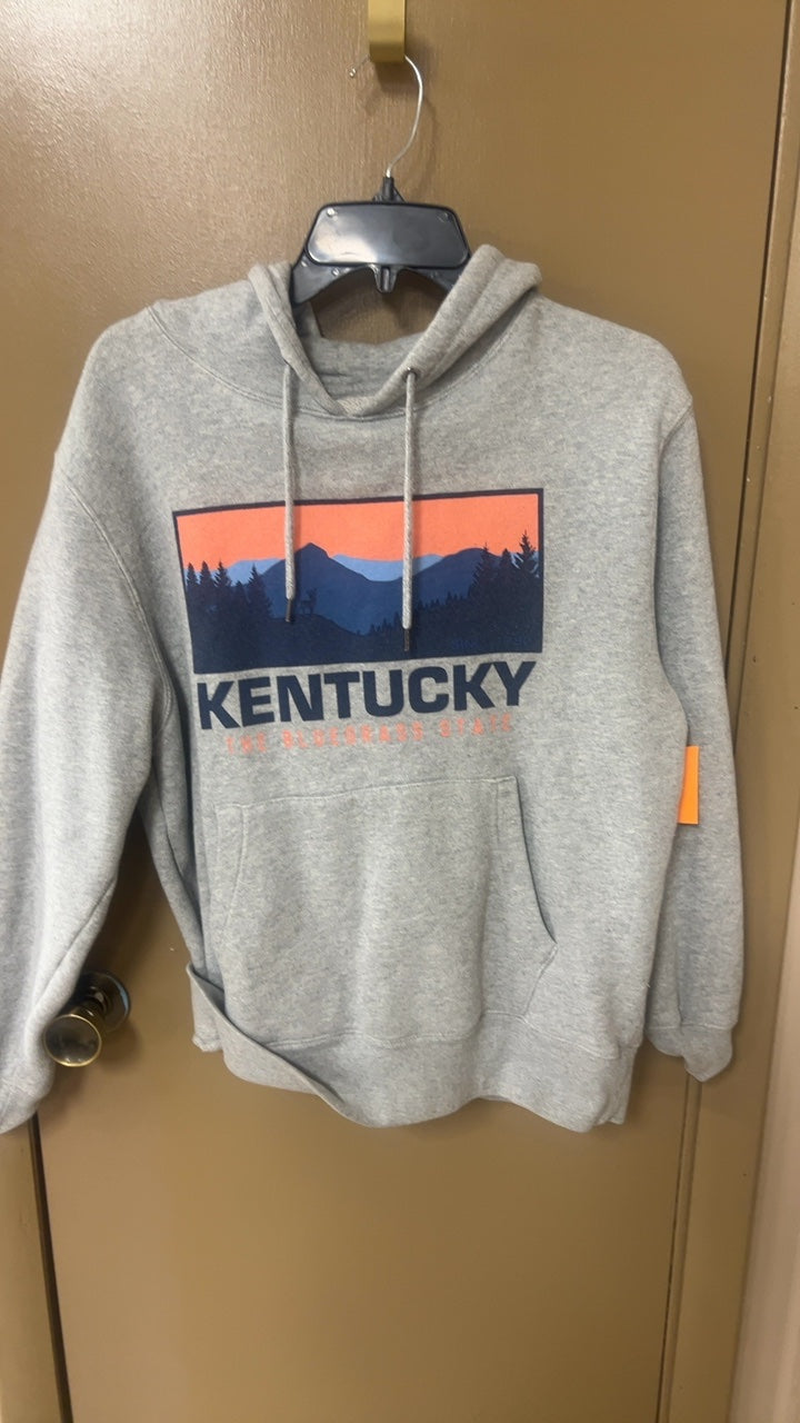 Hoodie Medium Gray