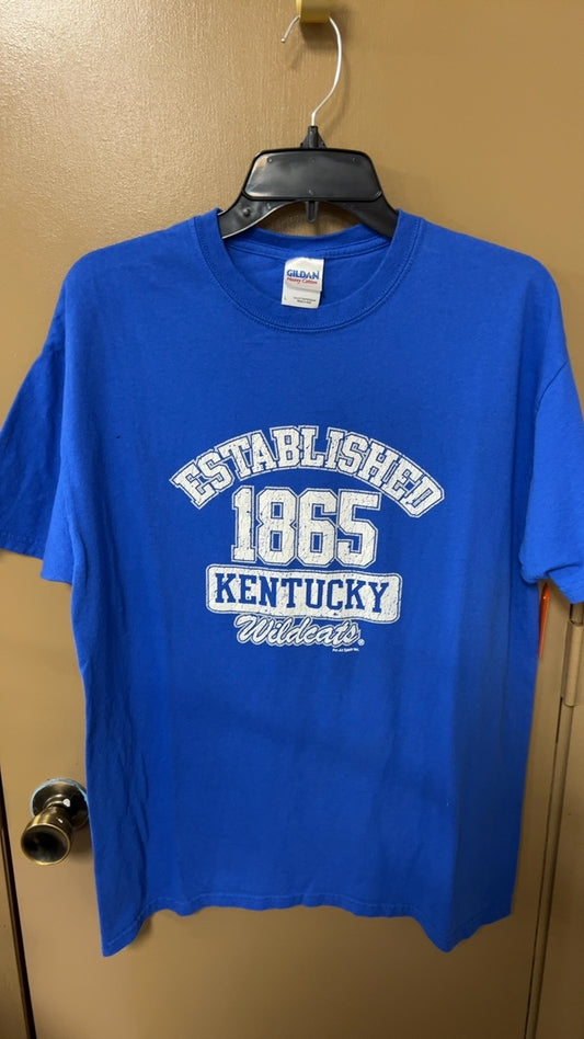 Gildan T-Shirt Large Blue UK