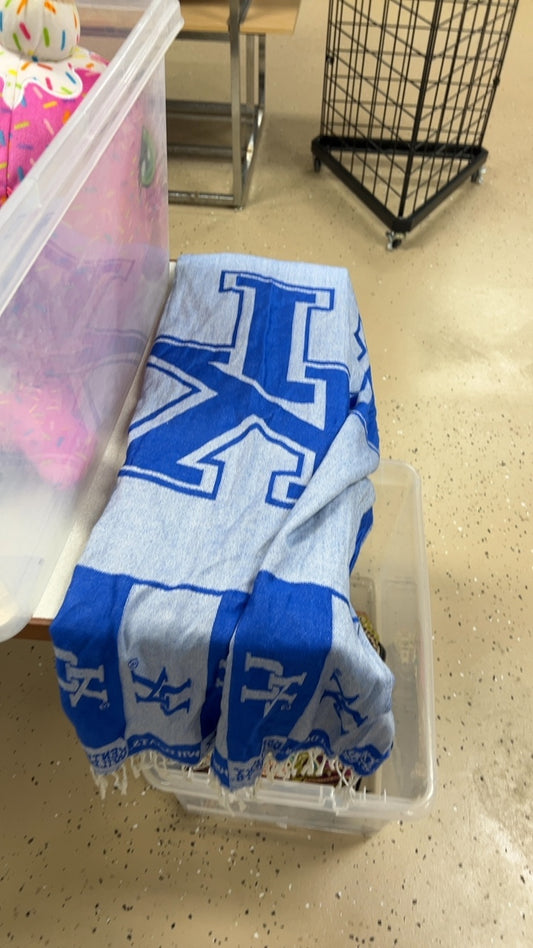 Kentucky Wildcats Scarf Gray and Blue