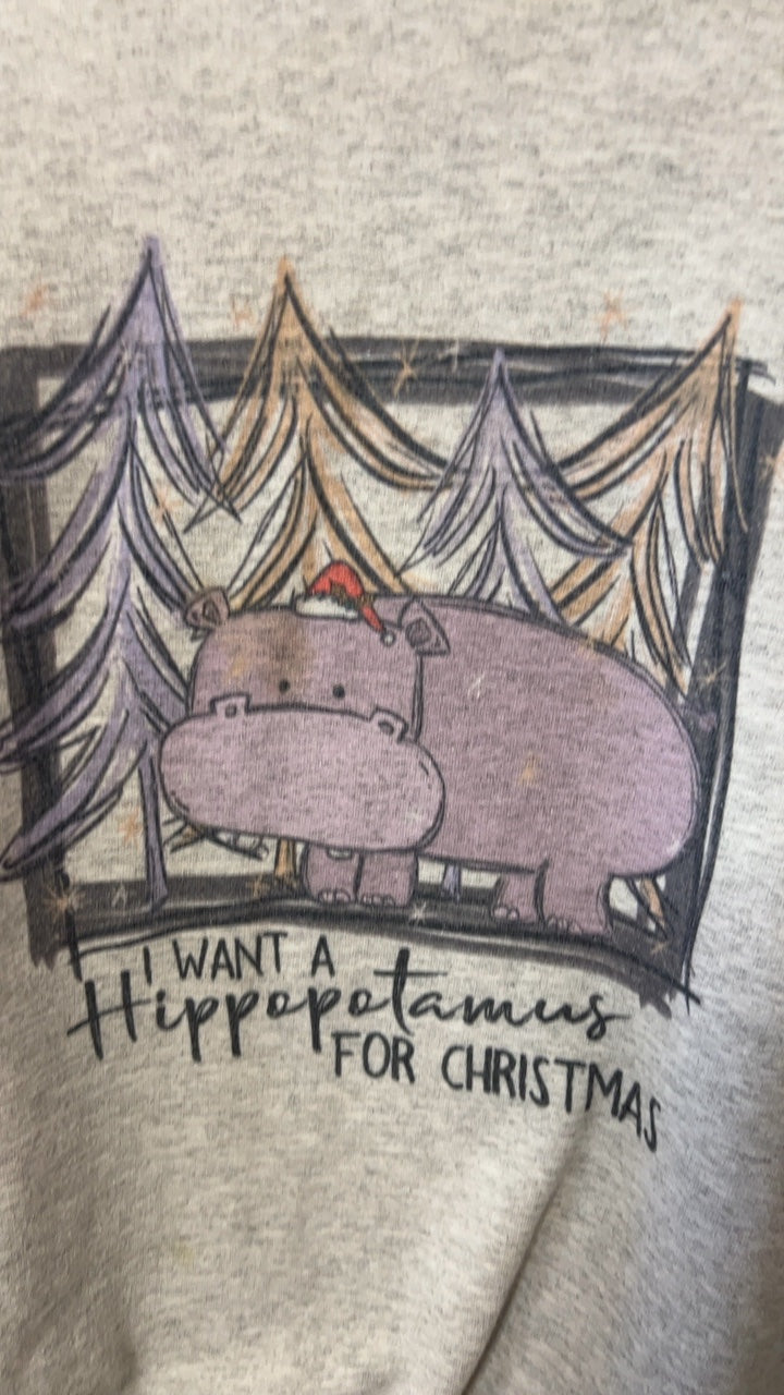 Sweatshirt XXL Light gray