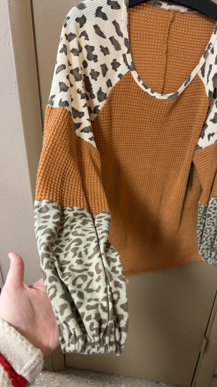 Sweater 1x Brown and cream