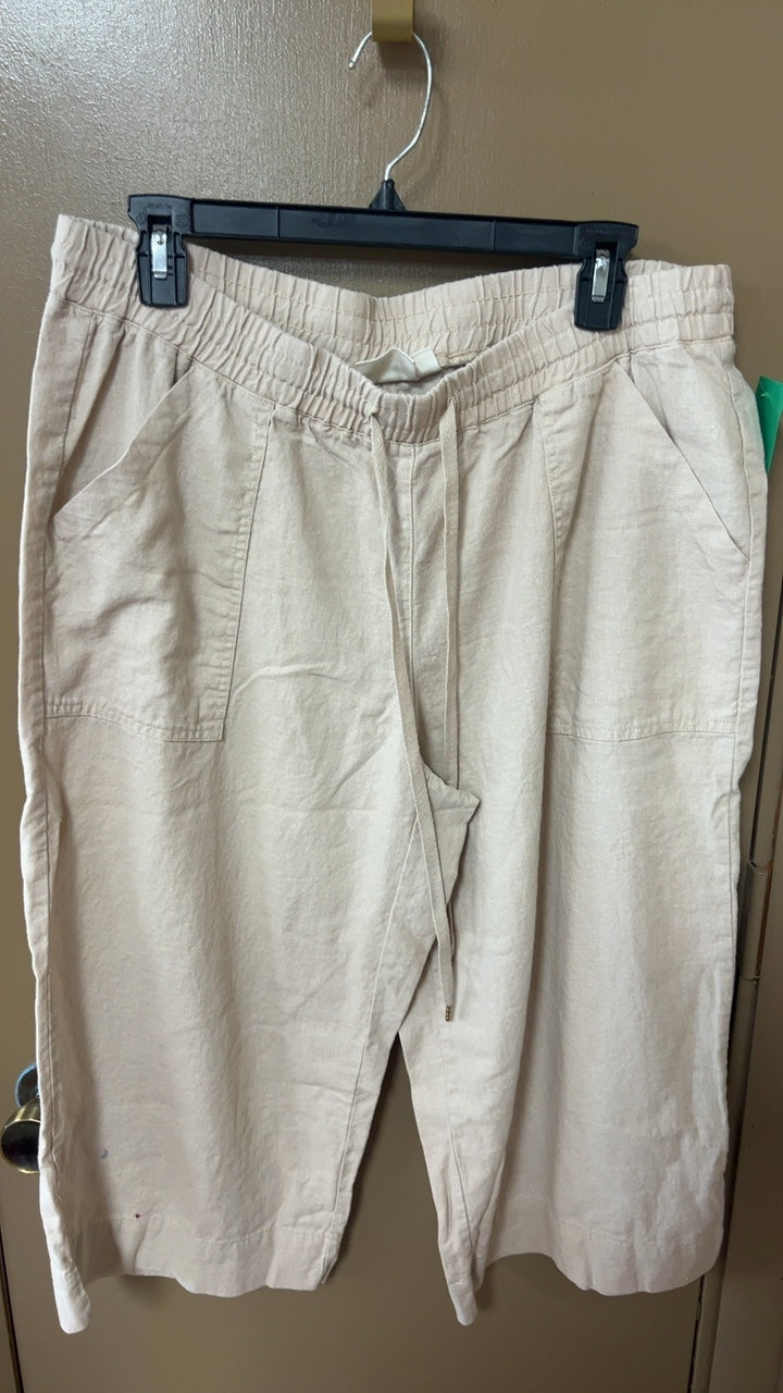 Pants 1X Beige