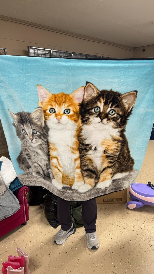 Kitty Blanket