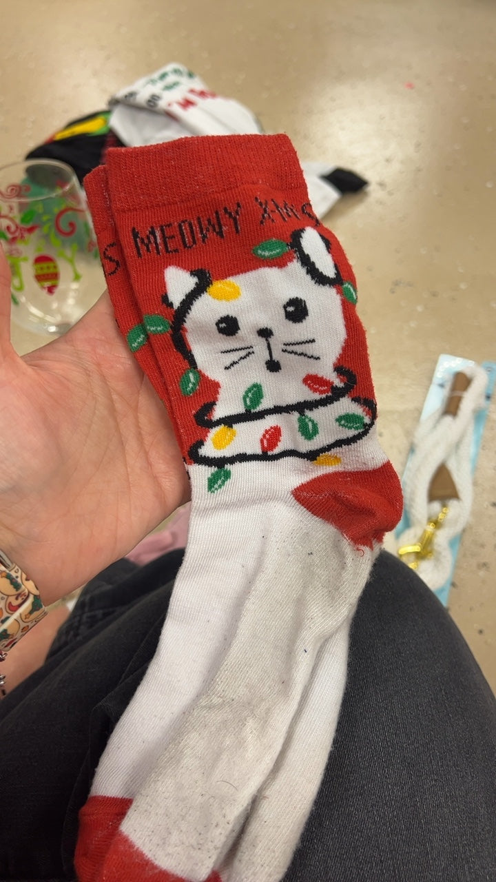 Socks Cat