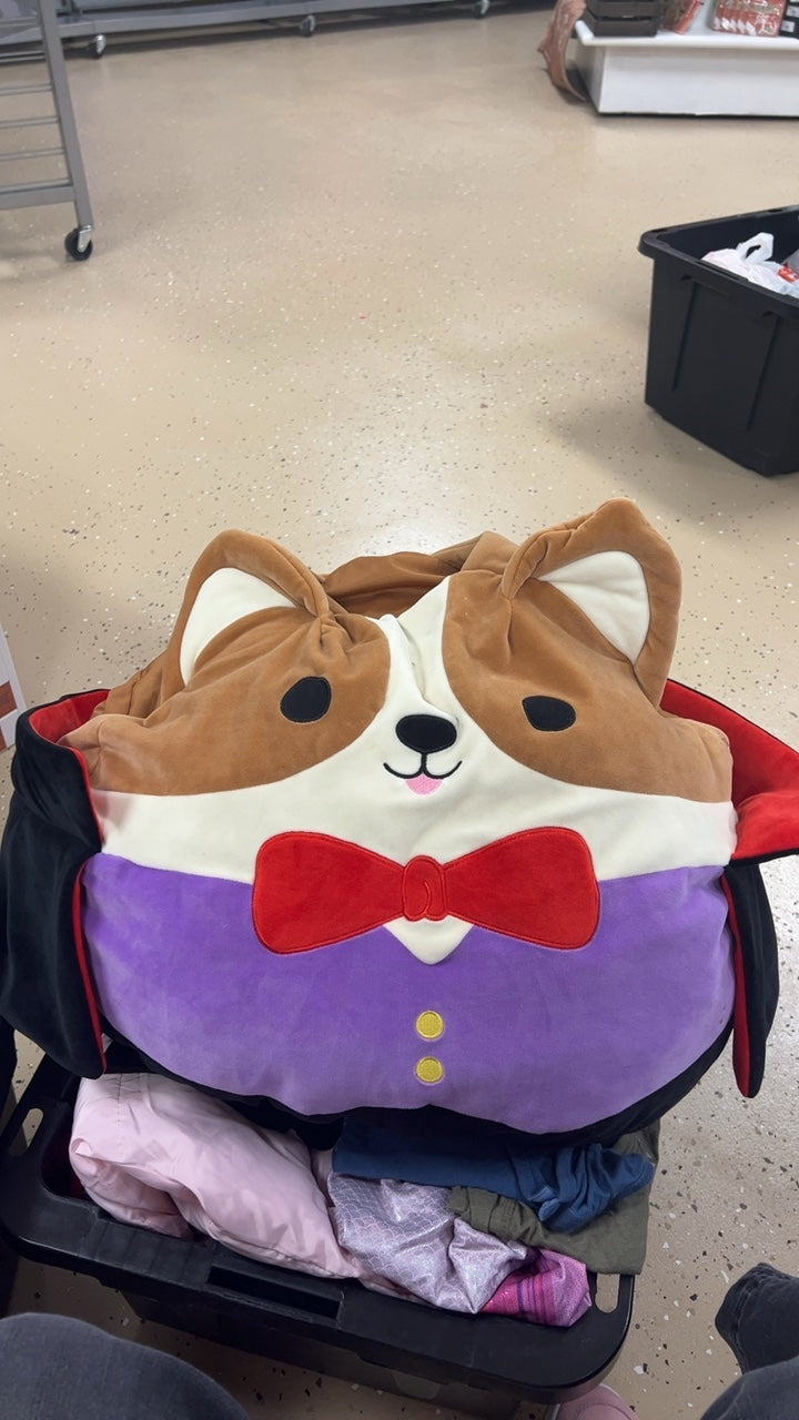 Halloween Costume Squishmallow Youth