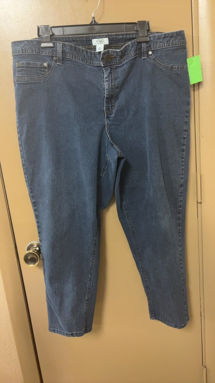 Cato Pants 20W