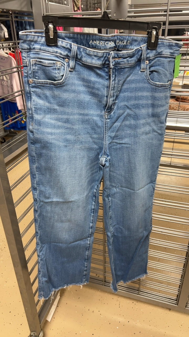 American Eagle Pants 16 s