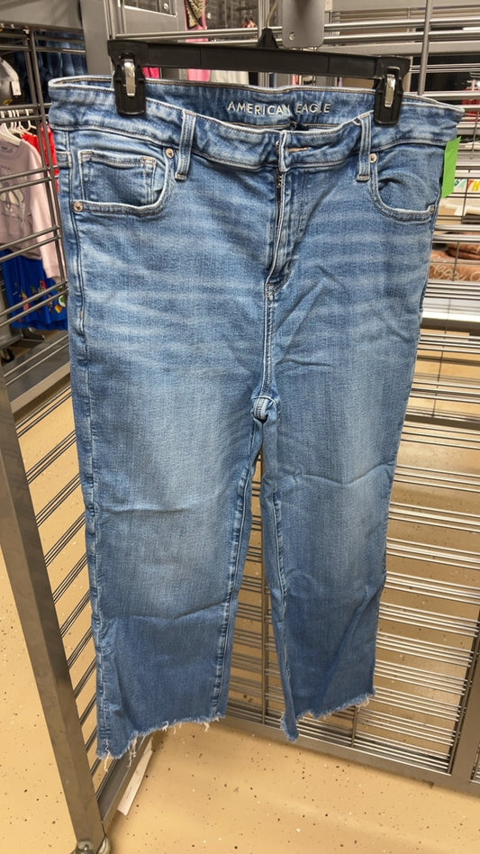 American Eagle Pants 16 s
