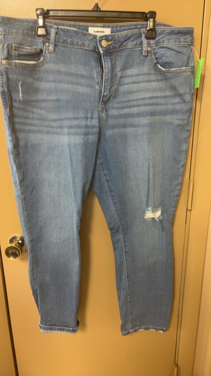 Sonoma Pants 18 short