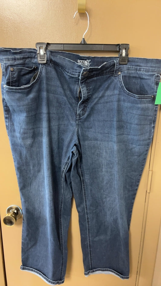 terra sky Pants 22W Petite