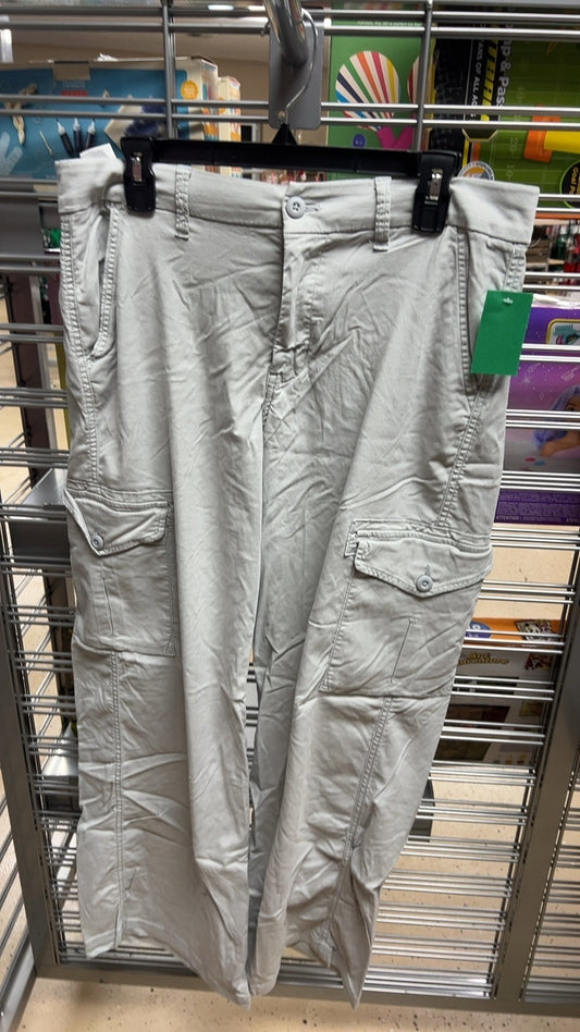 American Eagle Pants 10 Long