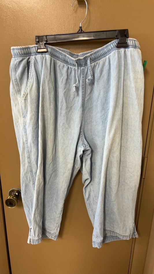 Denim Pants 3X