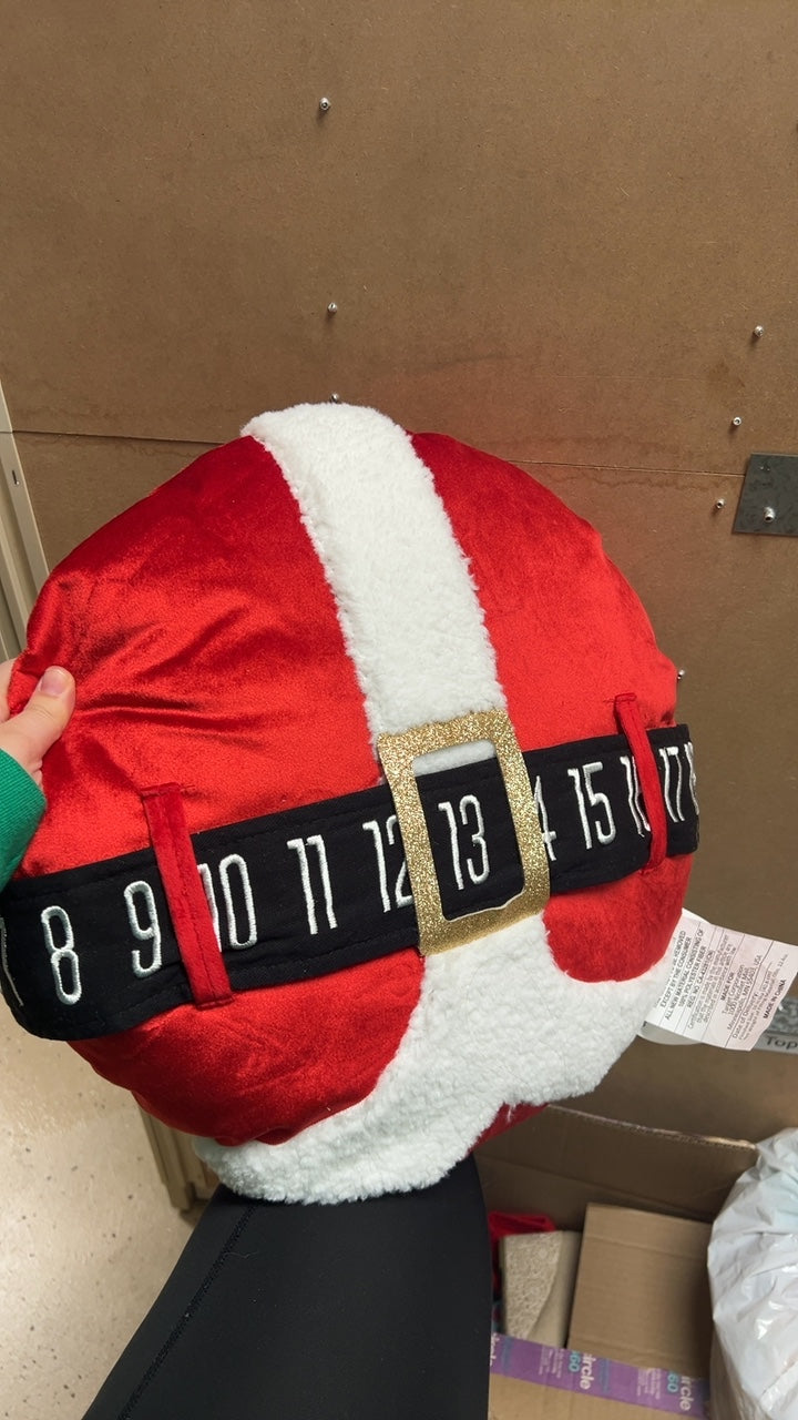 Decorative Holiday Pillow