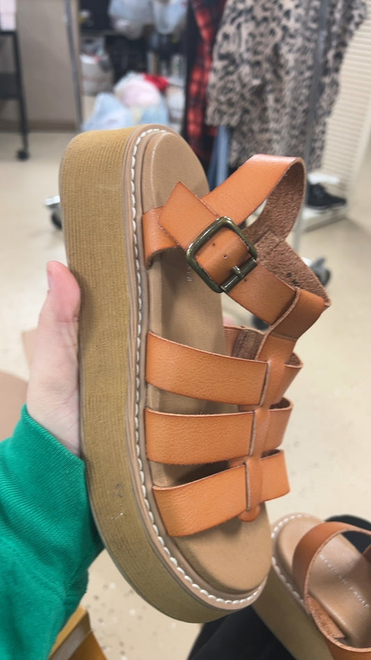 American Eagle Sandals 6