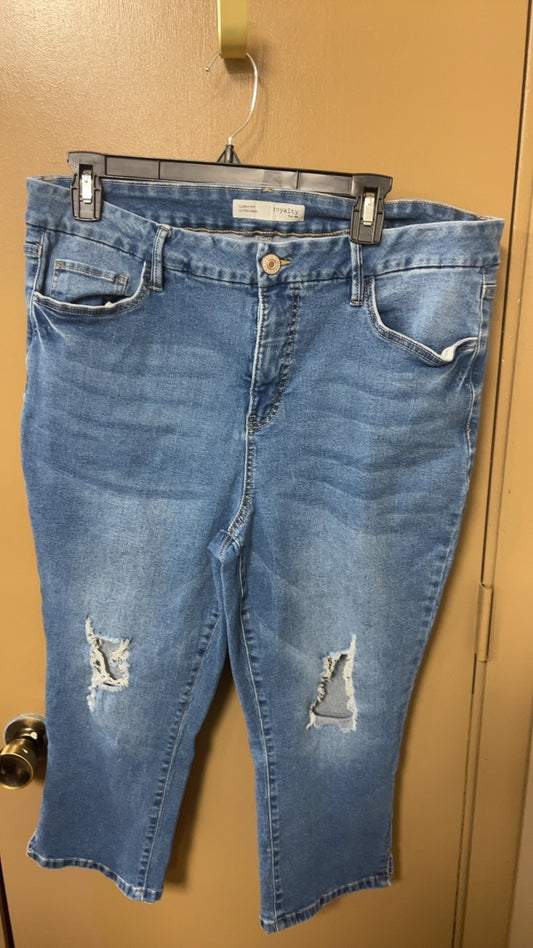 royalty Pants 16