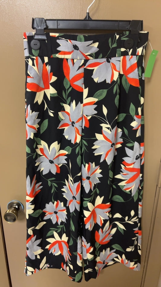 Pants XS