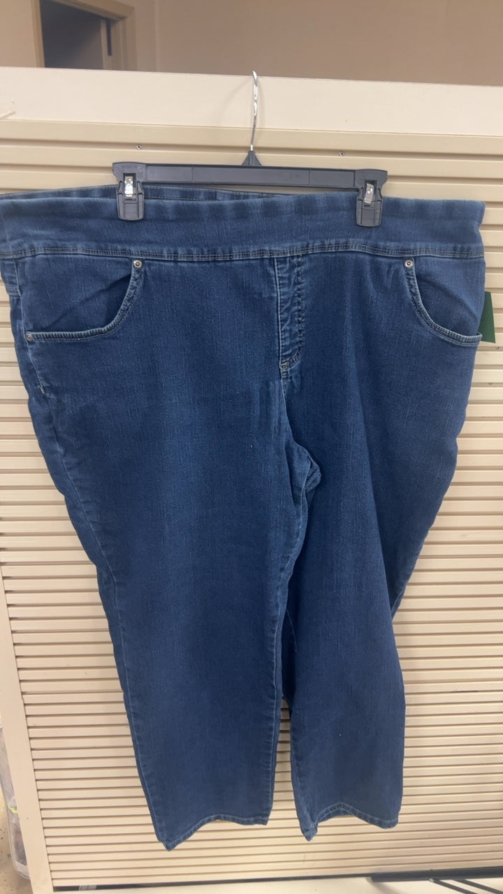 Terra Sky Pants 2X