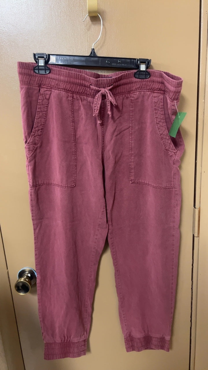 Gap Deep Pink Pants Small